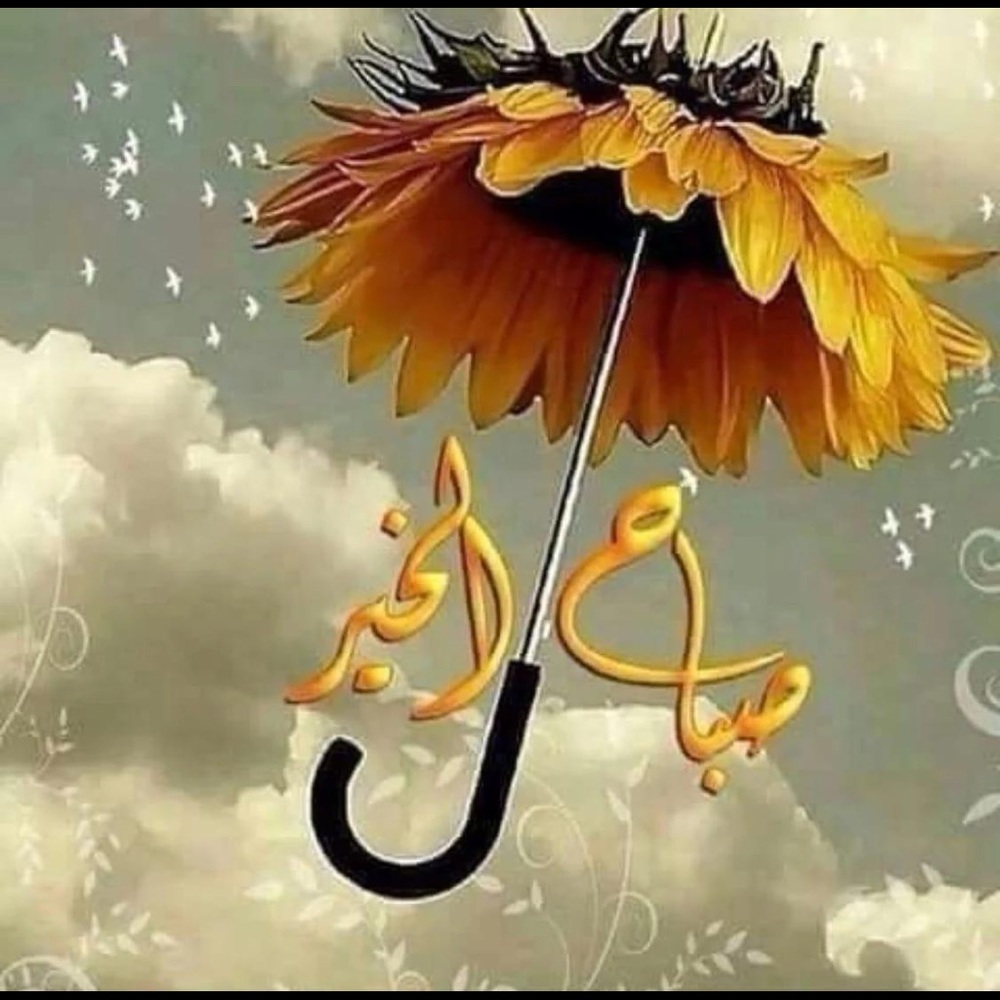 Meet your Posher, Lulucy